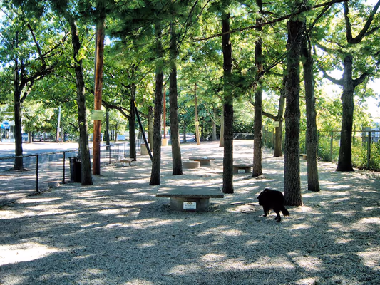 Union Street Dog Park